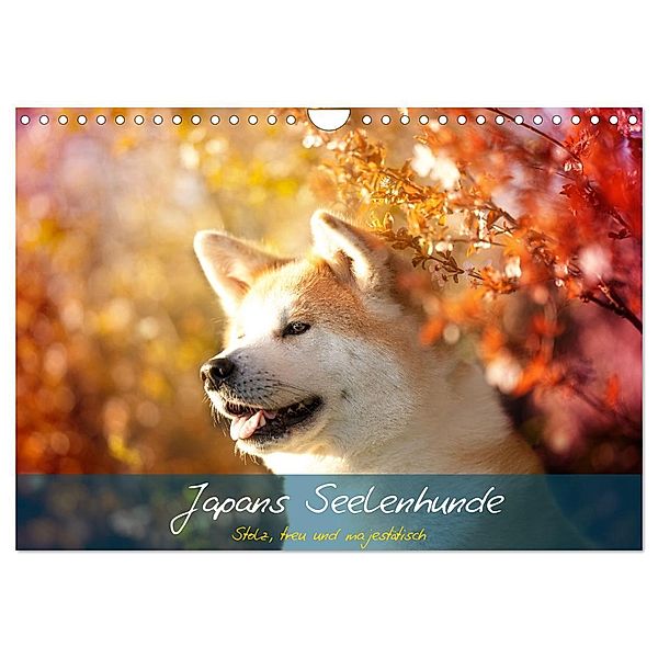 Japans Seelenhunde (Wandkalender 2024 DIN A4 quer), CALVENDO Monatskalender, Tamashinu Photography