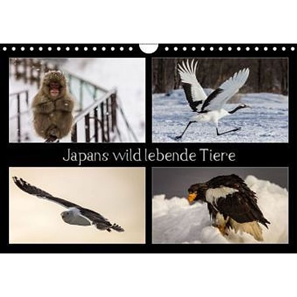Japans wild lebende Tiere (Wandkalender 2016 DIN A4 quer), Thomas                        10000219418 Schwarz