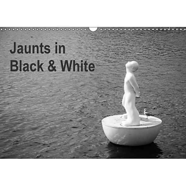 Jaunts in Black and White (Wall Calendar 2017 DIN A3 Landscape), Carlos M. Gárate