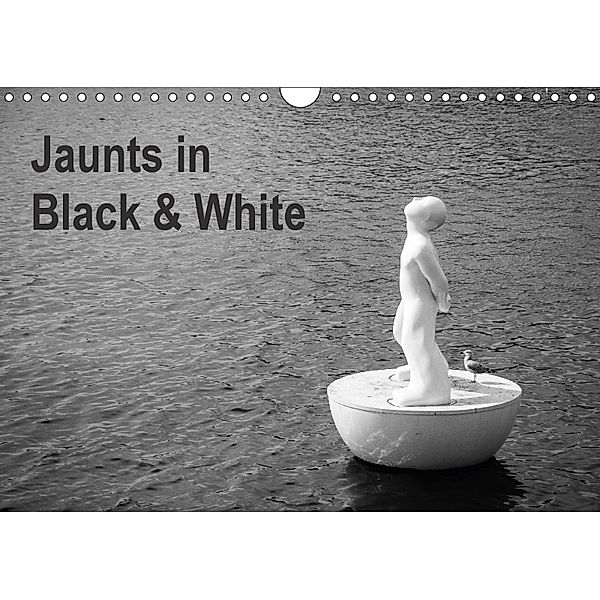 Jaunts in Black and White (Wall Calendar 2018 DIN A4 Landscape), Carlos M. Gárate