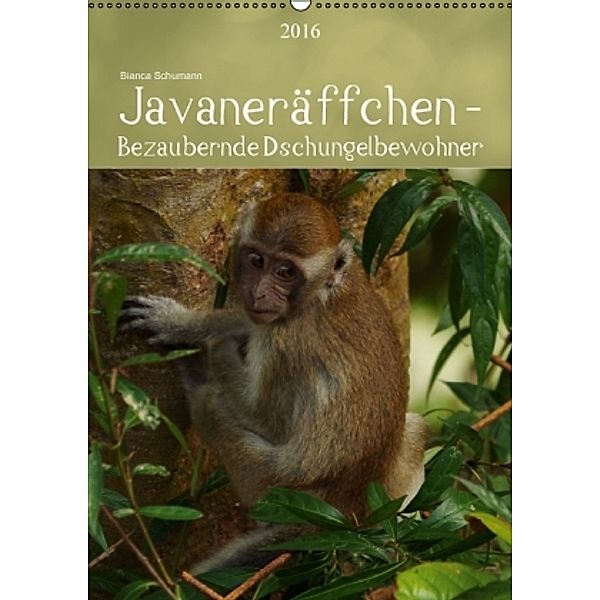 Javaneräffchen - Bezaubernde Dschungelbewohner CH-Version (Wandkalender 2016 DIN A2 hoch), Bianca Schumann