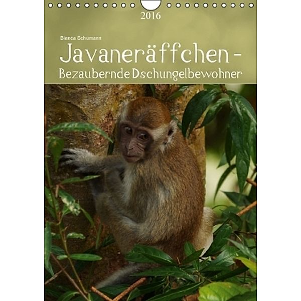 Javaneräffchen - Bezaubernde Dschungelbewohner CH-Version (Wandkalender 2016 DIN A4 hoch), Bianca Schumann