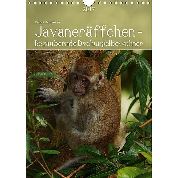 Javaneräffchen - Bezaubernde DschungelbewohnerCH-Version (Wandkalender 2017 DIN A4 hoch), Bianca Schumann