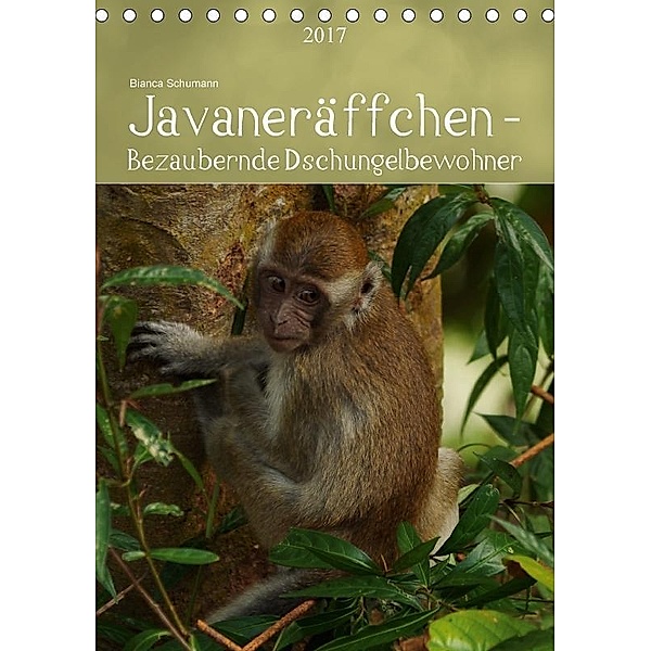 Javaneräffchen - Bezaubernde DschungelbewohnerCH-Version (Tischkalender 2017 DIN A5 hoch), Bianca Schumann