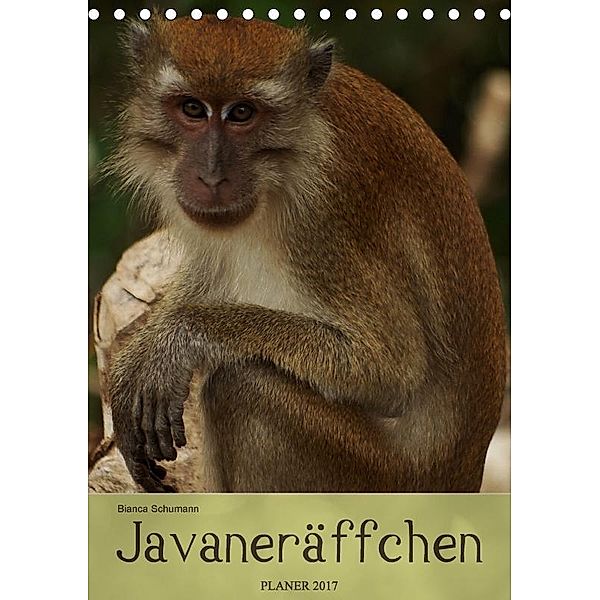 Javaneräffchen / Planer (Tischkalender 2017 DIN A5 hoch), Bianca Schumann