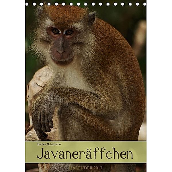 Javaneräffchen (Tischkalender 2017 DIN A5 hoch), Bianca Schumann