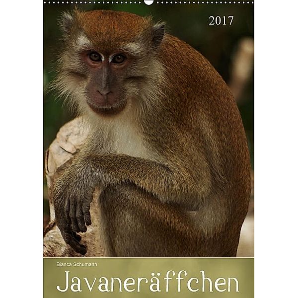 Javaneräffchen (Wandkalender 2017 DIN A2 hoch), Bianca Schumann