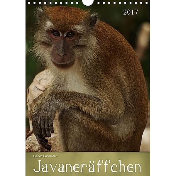 Javaneräffchen (Wandkalender 2017 DIN A4 hoch), Bianca Schumann