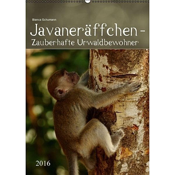 Javaneräffchen - Zauberhafte Urwaldbewohner AT-Version (Wandkalender 2016 DIN A2 hoch), Bianca Schumann