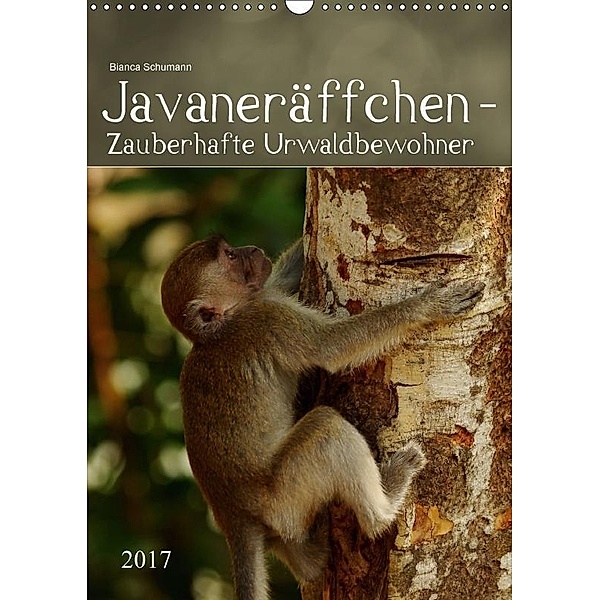 Javaneräffchen - Zauberhafte UrwaldbewohnerAT-Version (Wandkalender 2017 DIN A3 hoch), Bianca Schumann