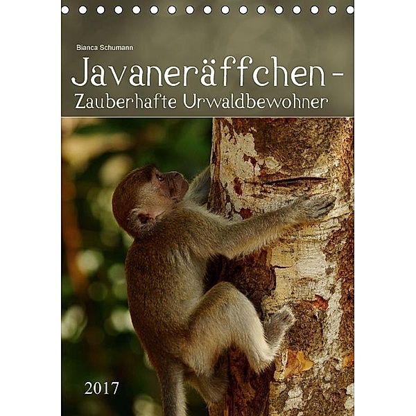 Javaneräffchen - Zauberhafte UrwaldbewohnerAT-Version (Tischkalender 2017 DIN A5 hoch), Bianca Schumann