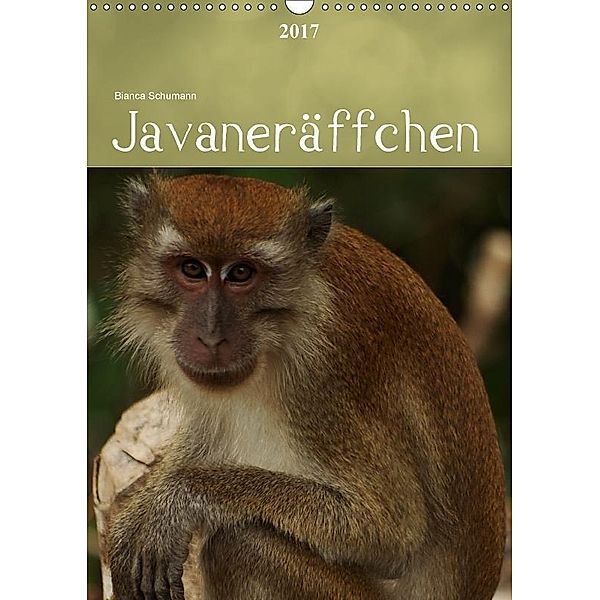 JavaneräffchenCH-Version (Wandkalender 2017 DIN A3 hoch), Bianca Schumann