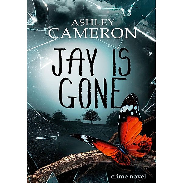 Jay Is Gone, Ashley Cameron