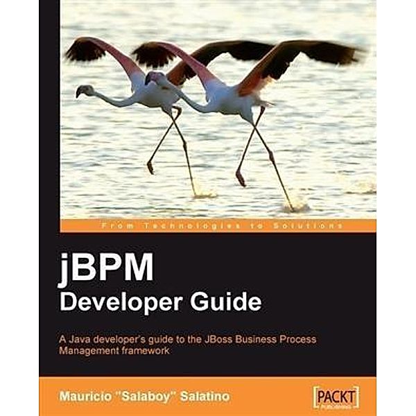 jBPM Developer Guide, Mauricio "Salaboy" Salatino