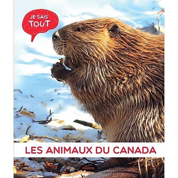 Je sais tout: Les animaux du Canada, Jessica Lupien