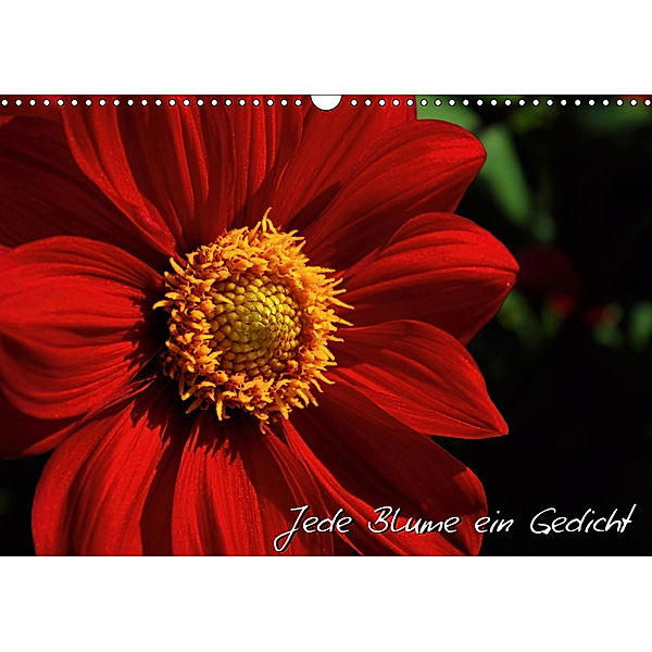 Jede Blume ein Gedicht (Wandkalender 2019 DIN A3 quer), Michael Mantke