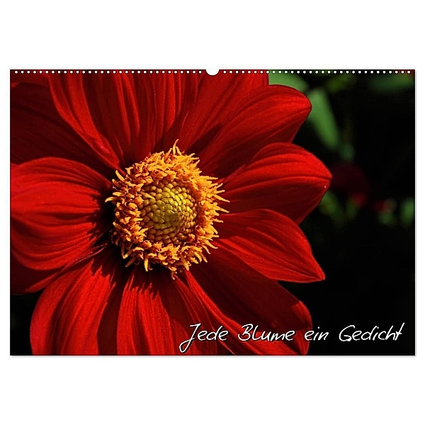 Jede Blume ein Gedicht (Wandkalender 2024 DIN A2 quer), CALVENDO Monatskalender, Michael Mantke