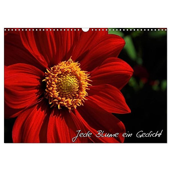 Jede Blume ein Gedicht (Wandkalender 2024 DIN A3 quer), CALVENDO Monatskalender, Michael Mantke