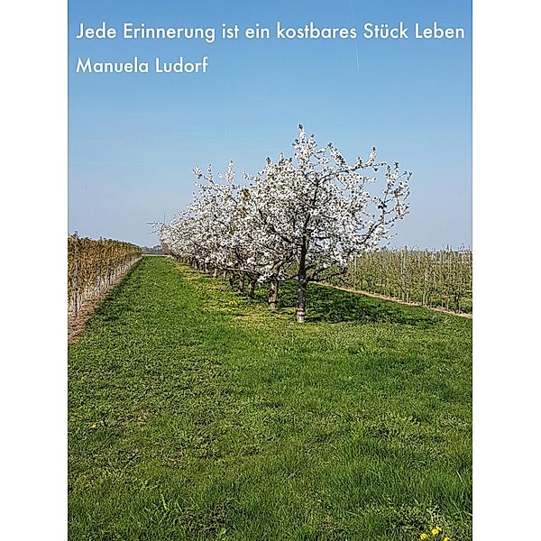 Jede Erinnerung ist ein kostbares Stück Leben / Gefühlsgedankenfragmente Bd.1, Manuela Ludorf