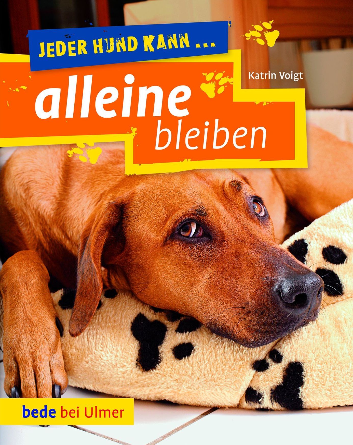 Jeder Hund kann alleine bleiben Buch versandkostenfrei bei Weltbild.de