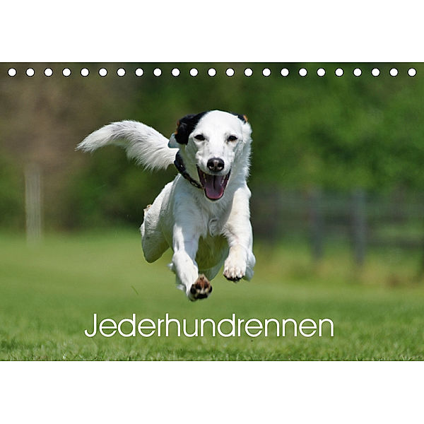 Jederhundrennen (Tischkalender 2019 DIN A5 quer), Regina Schiewe