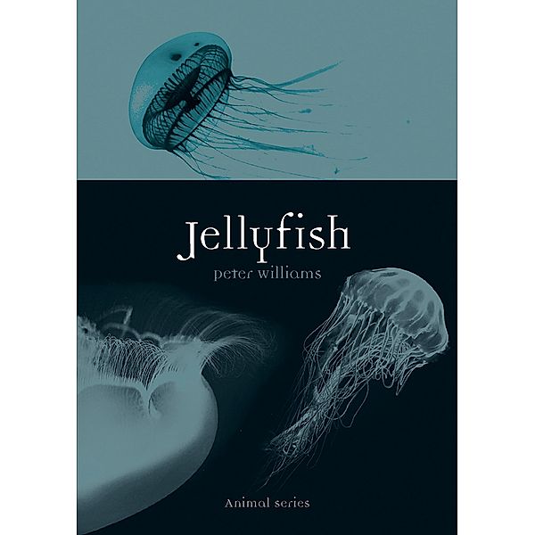 Jellyfish / Animal, Williams Peter Williams