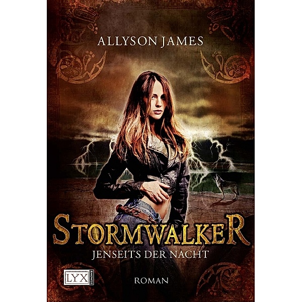 Jenseits der Nacht / Stormwalker Bd.1, Allyson James