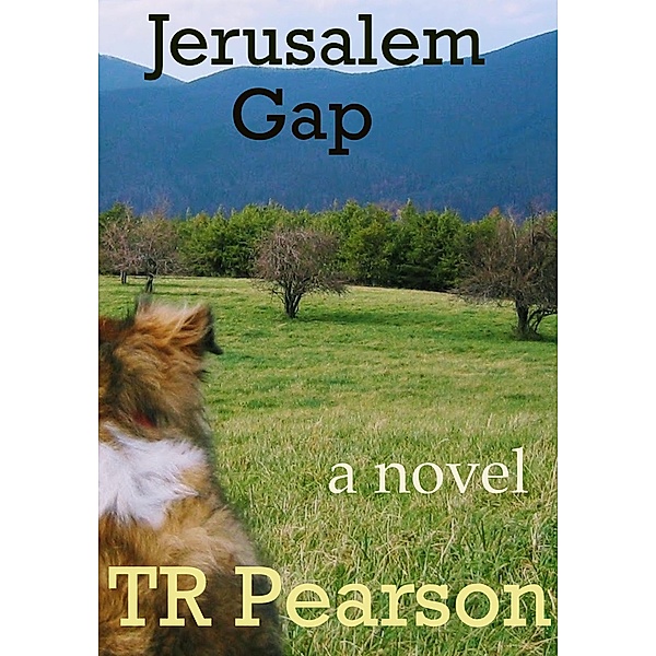 Jerusalem Gap / T. R. Pearson, T. R. Pearson