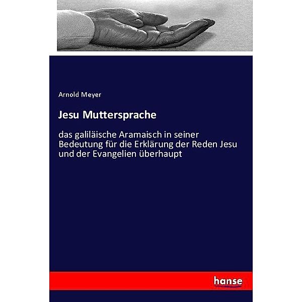 Jesu Muttersprache, Arnold Meyer