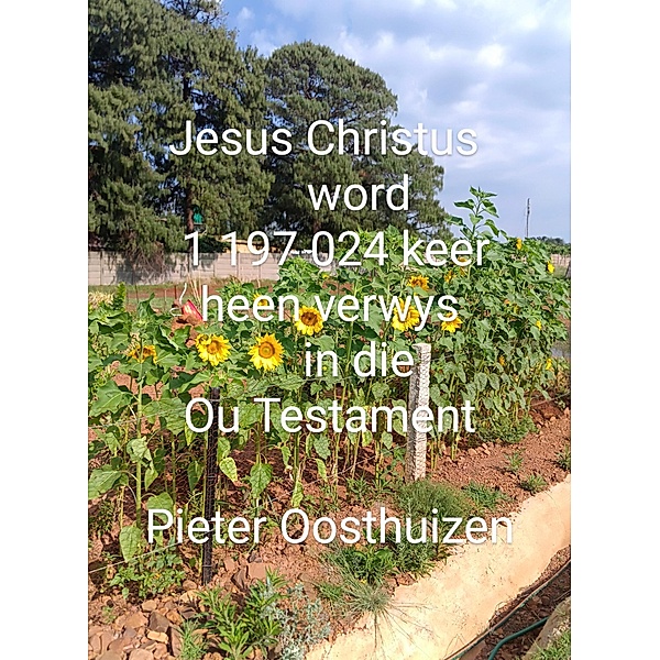 Jesus Christus word 1 197 024 keer na heen gewys in die Ou Testament, Pieter Oosthuizen