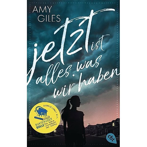 Jetzt ist alles, was wir haben, Amy Giles