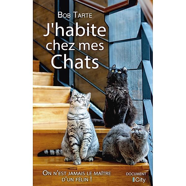 J'habite chez mes chats, Bob Tarte