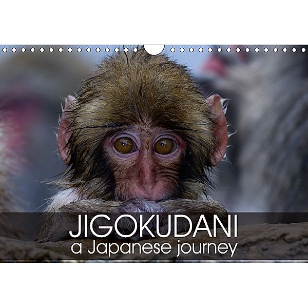 Jigokudani a japanese journey (Wall Calendar 2018 DIN A4 Landscape), Michel Hagege