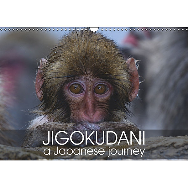 Jigokudani a japanese journey (Wall Calendar 2019 DIN A3 Landscape), Michel Hagege