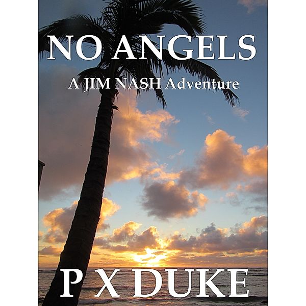 Jim Nash Adventures: No Angels, P X Duke