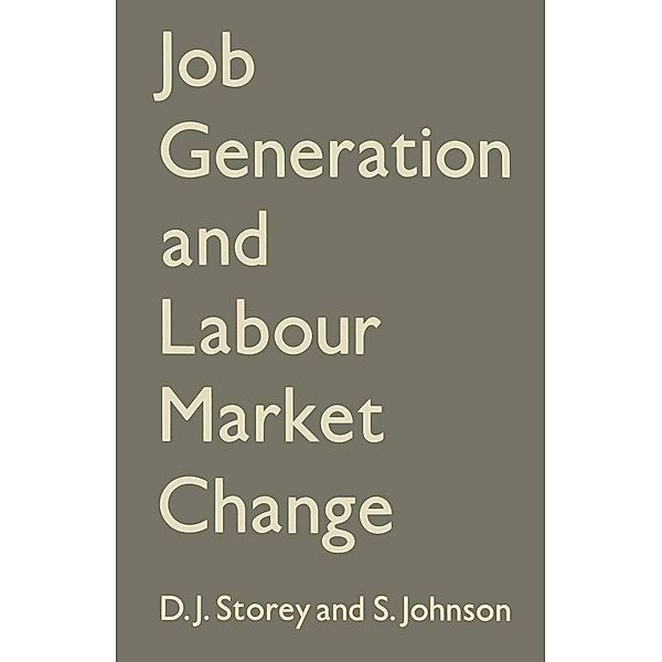 Job Generation and Labour Market Change, D. J. Storey, Stanley Johnson