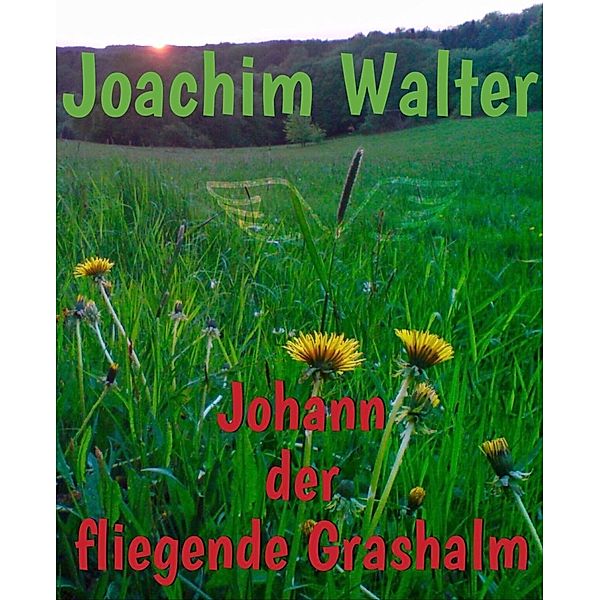 Johann der fliegende Grashalm, Joachim Walter