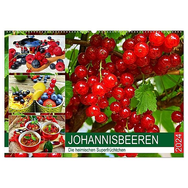 Johannisbeeren. Die heimischen Superfrüchtchen (Wandkalender 2024 DIN A2 quer), CALVENDO Monatskalender, Rose Hurley