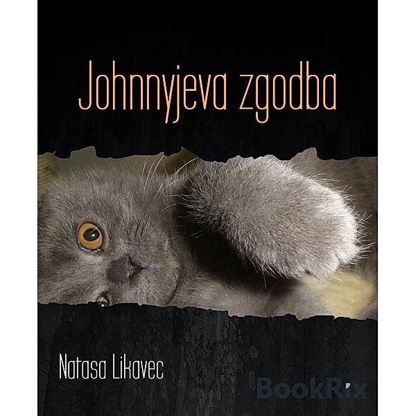 Johnnyjeva zgodba, Natasa Likavec