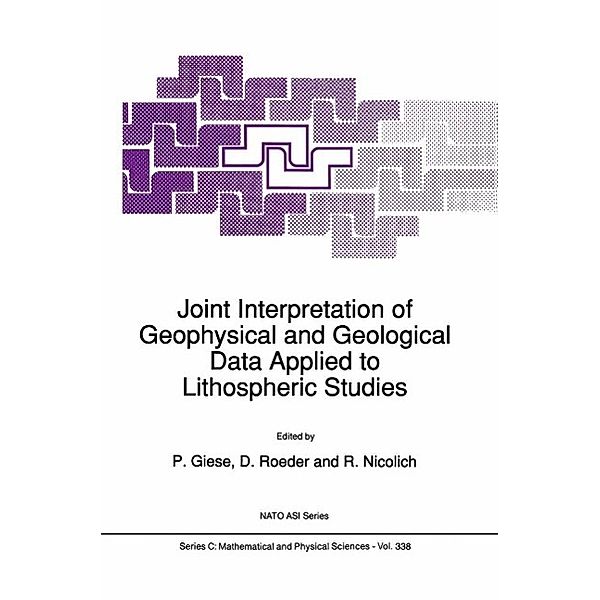 Joint Interpretation of Geophysical and Geological Data Applied to Lithospheric Studies / Nato Science Series C: Bd.338