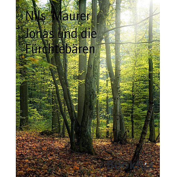 Jonas und die Fürchtebären, Nils Maurer