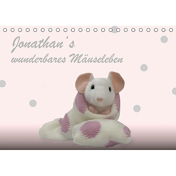 Jonathan's wunderbares Mäuseleben (Tischkalender 2019 DIN A5 quer), Brigitte Jaritz