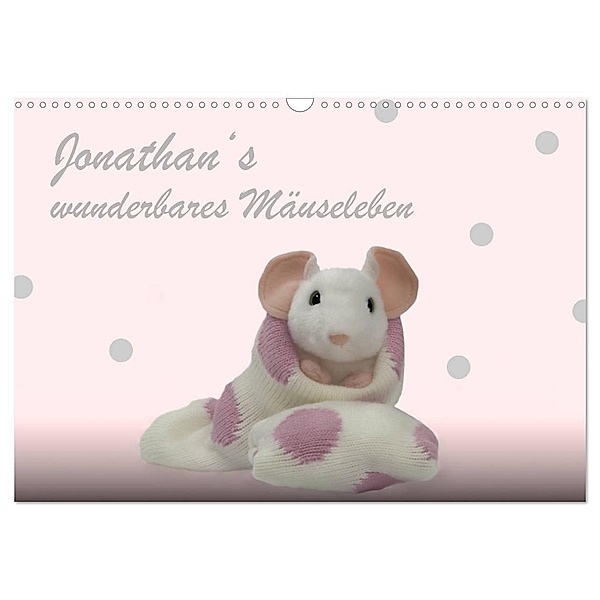 Jonathan's wunderbares Mäuseleben (Wandkalender 2024 DIN A3 quer), CALVENDO Monatskalender, photography brigitte jaritz