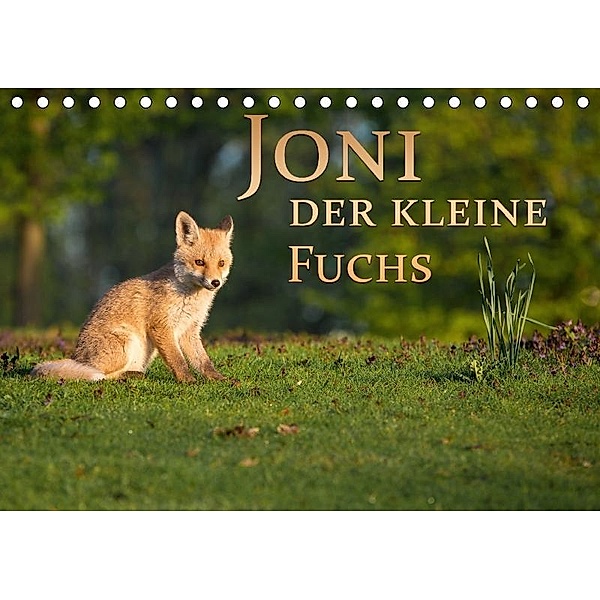 Joni, der kleine Fuchs (Tischkalender 2017 DIN A5 quer), Marcello Zerletti