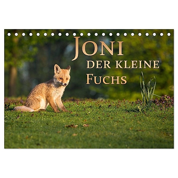 Joni, der kleine Fuchs (Tischkalender 2024 DIN A5 quer), CALVENDO Monatskalender, Marcello Zerletti