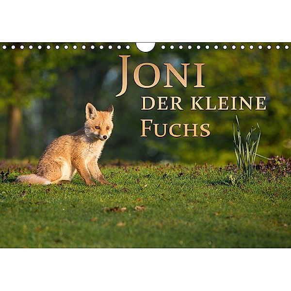 Joni, der kleine Fuchs (Wandkalender 2018 DIN A4 quer) Dieser erfolgreiche Kalender wurde dieses Jahr mit gleichen Bilde, Marcello Zerletti