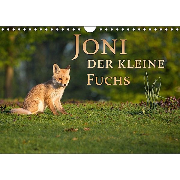 Joni, der kleine Fuchs (Wandkalender 2021 DIN A4 quer), Marcello Zerletti