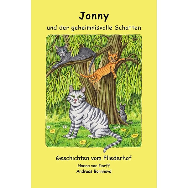 Jonny und der geheimnisvolle Schatten / Geschichten vom Fliederhof Bd.1, Hanna von Dorff