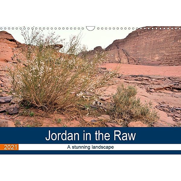 Jordan in the Raw (Wall Calendar 2021 DIN A3 Landscape), Jon Grainge