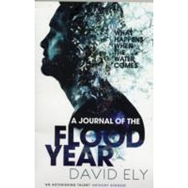 Journal of the Flood Year, David Ely